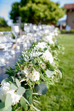 Santa Rosa, Sonoma County