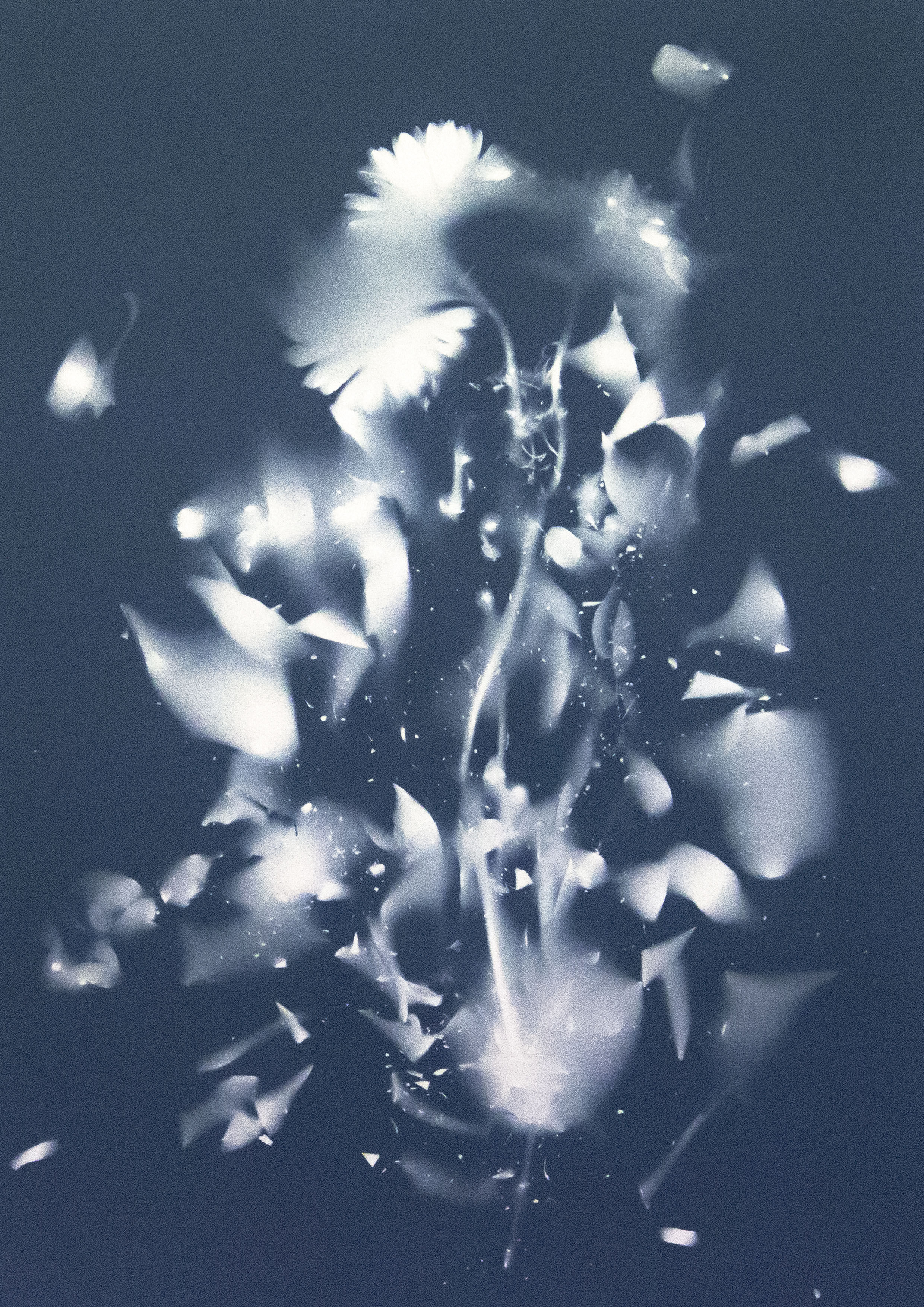 Andrea Bertoletti - Fragility 028