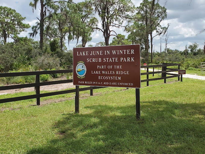 Lake June In Winter Scrub State Park. Photo from Facebook.