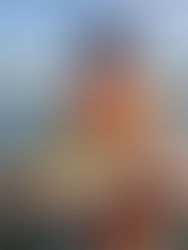 Experience Florida: Airboat Adventures and Fishing Charters