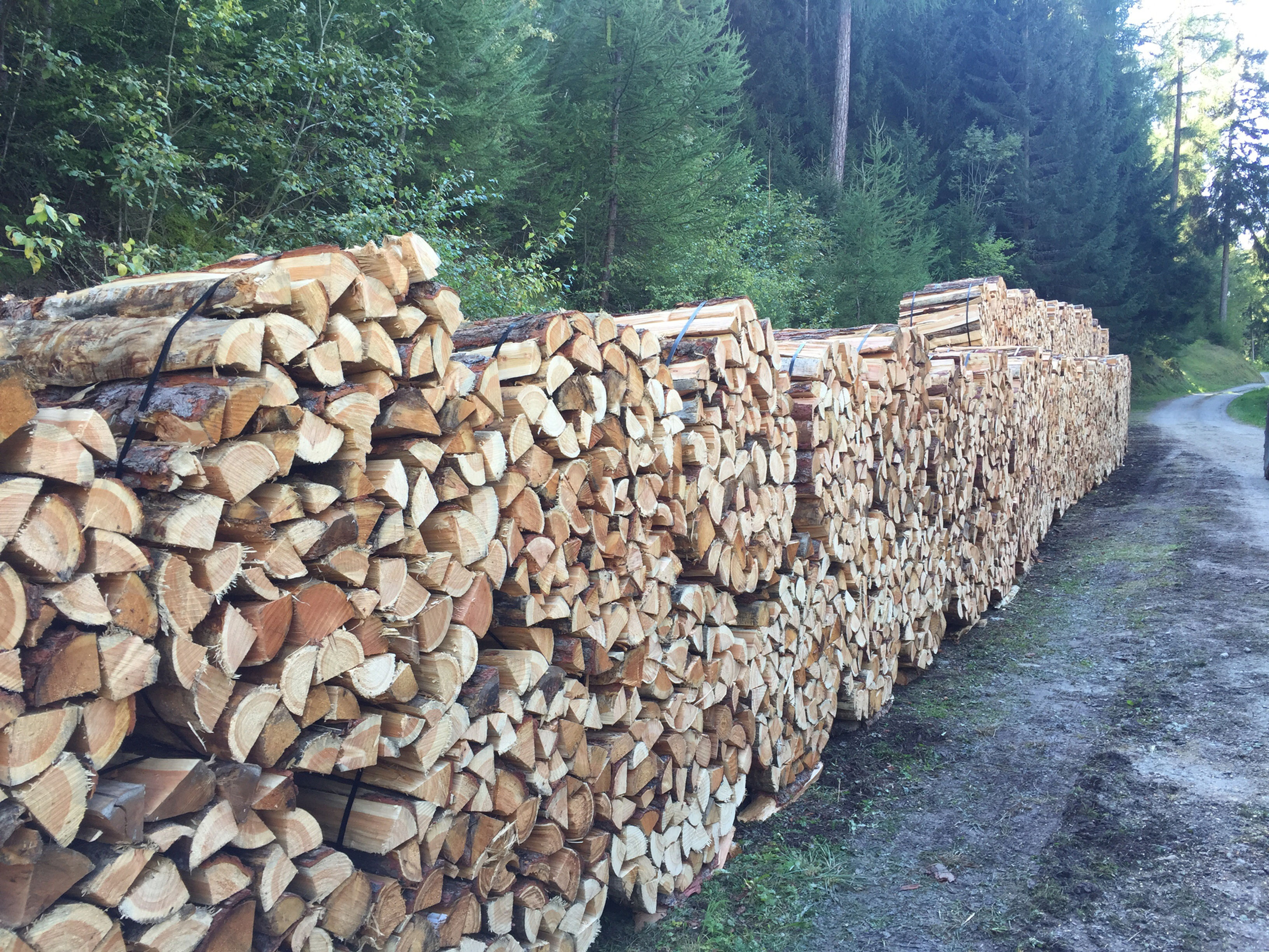 Bois de feu - Mélèze