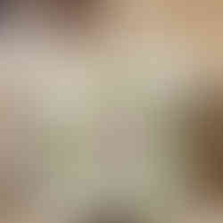 a tan pillow with a wreath horse and dog GA horse photographer