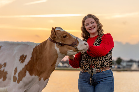 A high school FFA member poses with her Holstein for a cow portrait session at the Georgia National Fairgrounds and Agri-center in Perry, GA