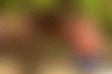 Horse and rider portrait during an outdoor horse photoshoot outside Atlanta, GA