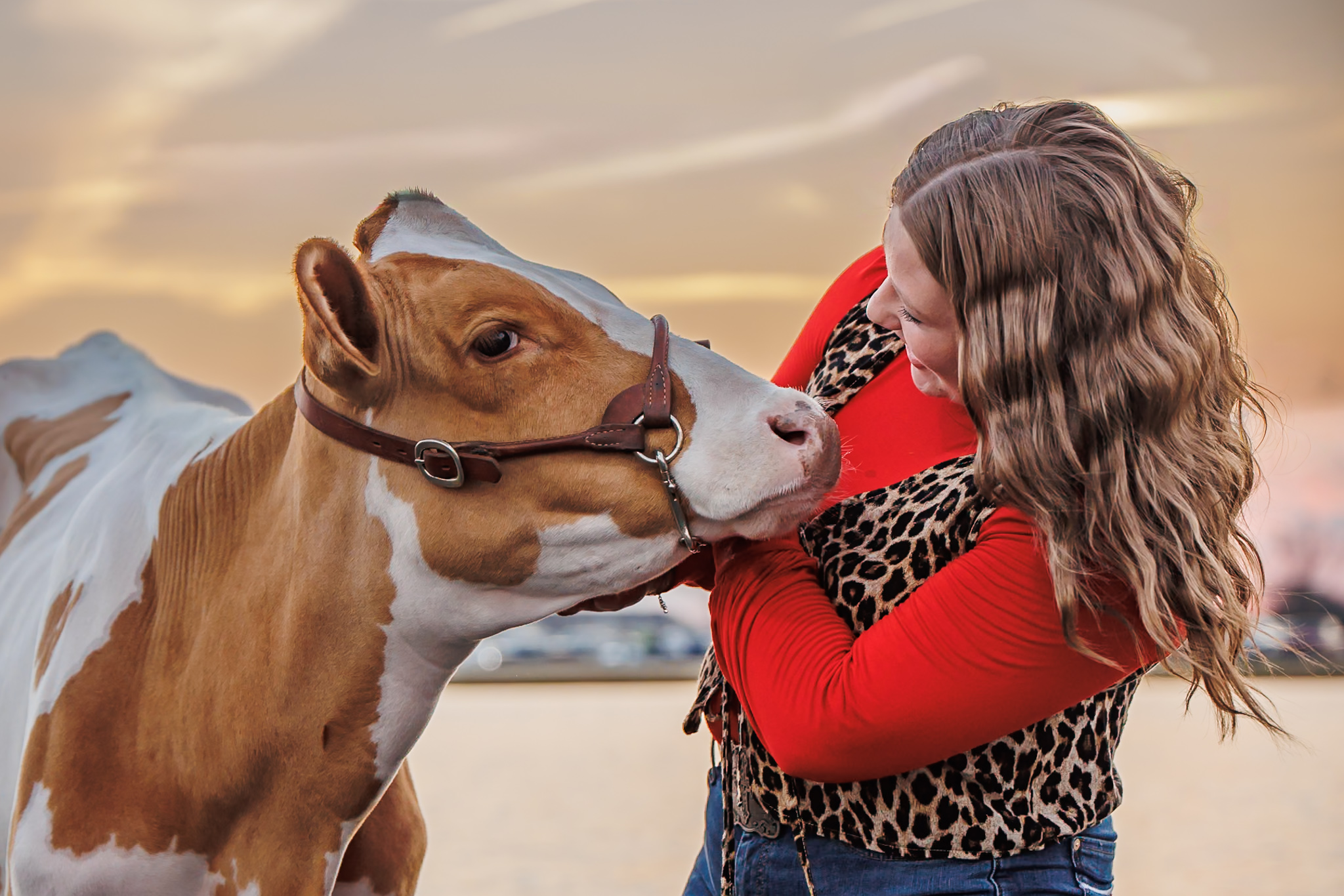 FFA exhibitor poses with her dairy cow for a livestock portrait