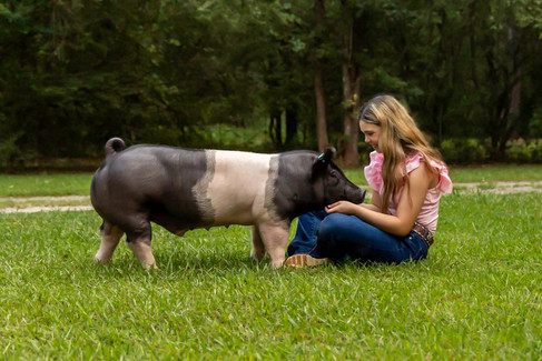 A GA FFA high school girl poses with her show pig | Georgia Livestock Photographer
