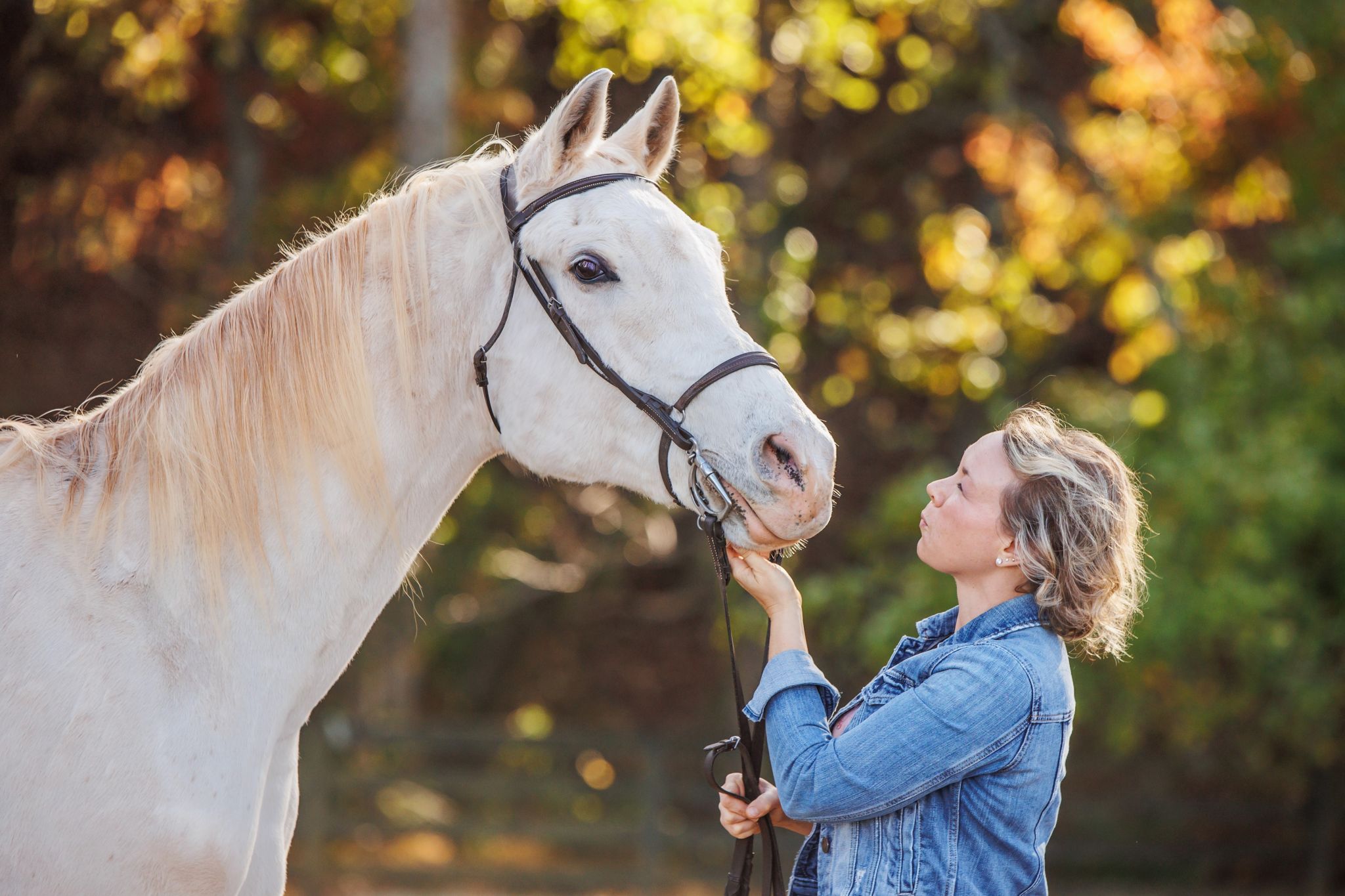 a woman poses with a white Arabian horse in a horse and rider portrait photo session