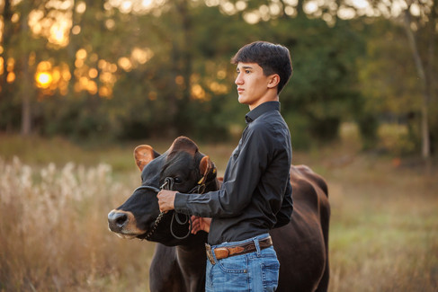 Georgia FFA senior pictures with a show heifer outside of Athens, GA