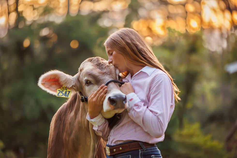 Georgia 4-H member kisses a cow in a livestock photography session
