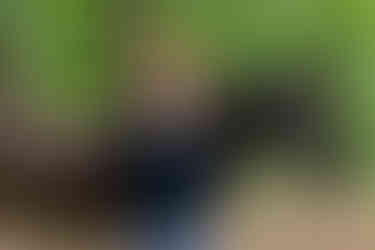 Horse and rider portrait during an outdoor horse photoshoot outside Atlanta, GA