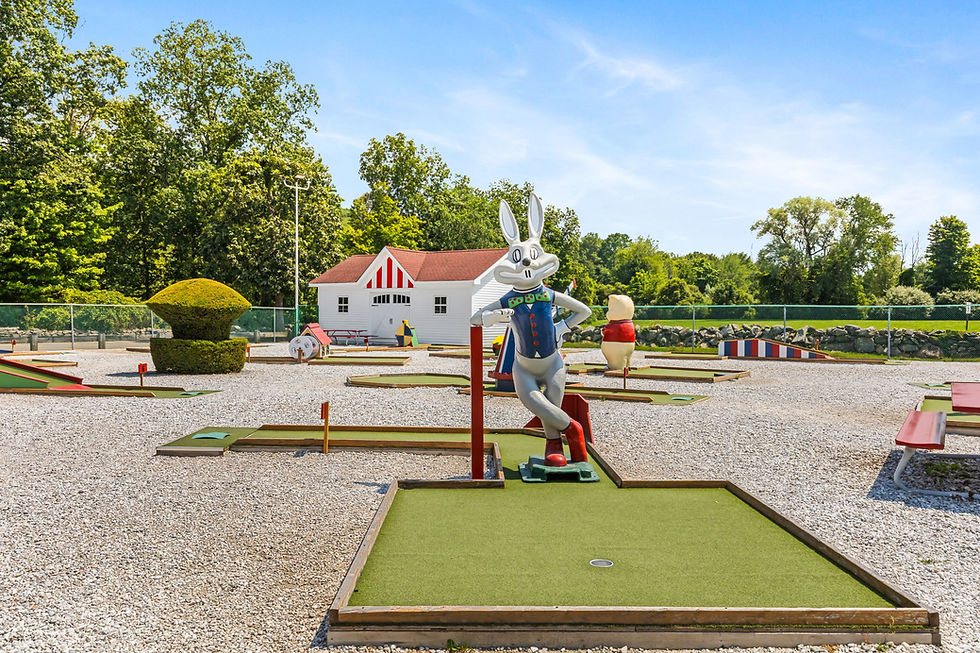 6-web-or-mls-red-rooster-drive-in-1566-ny-22 (1).jpg