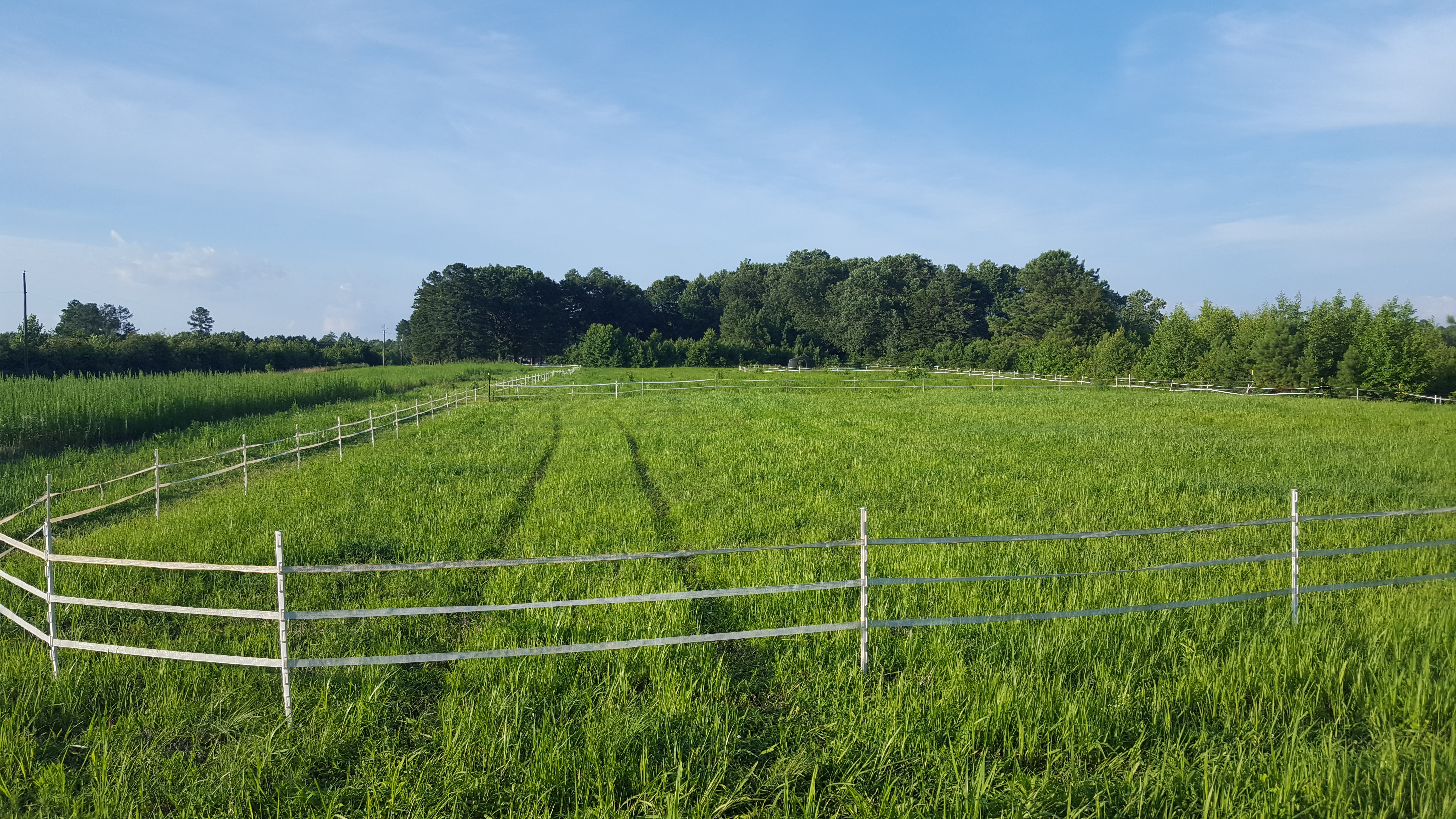 Field 2