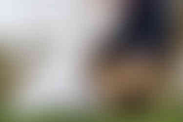 wedding couple having their wedding photos taken