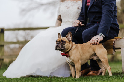 wedding couple having their wedding photos taken