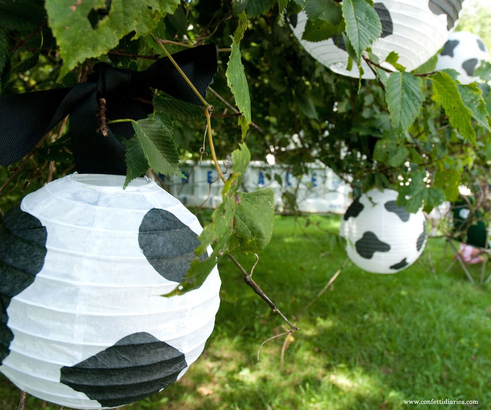 Thumbnail: Cow Print Lanterns/Lampshade