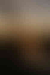 wedding couple having their wedding photos taken