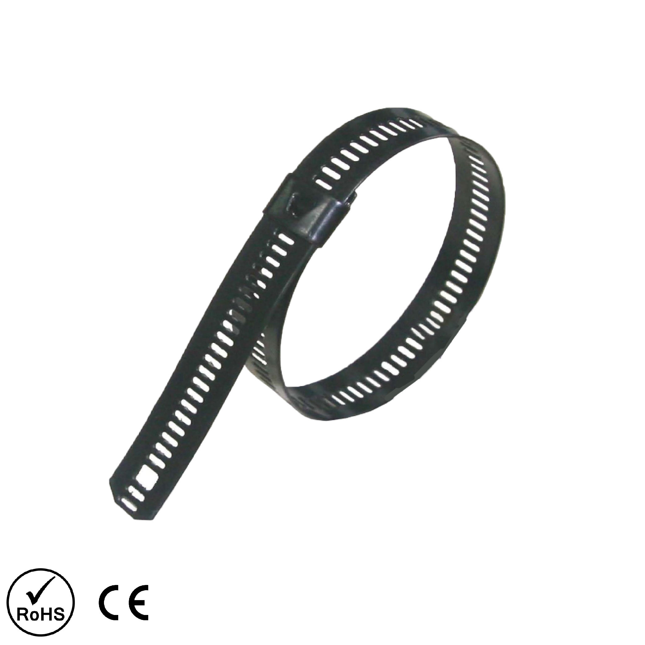 Multi-Locking Stainless Steel Ties