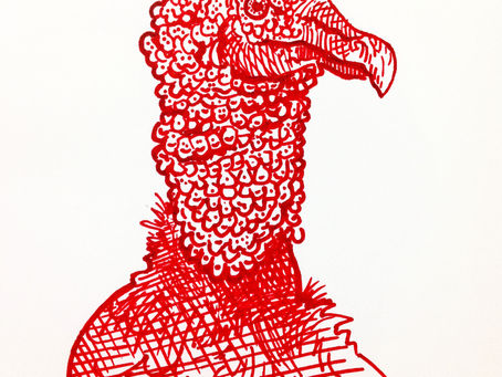 Drawing Series: "Birds"