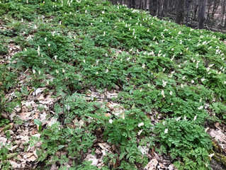 Spring Is Around The Corner At Glacial Hills