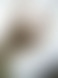 Texture Rich
