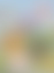 Bags for All Seasons – Springtime Colours