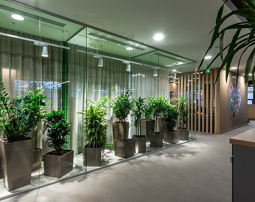 Сертификация офисного помещения компании, офис в аренде