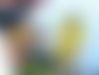 Las razones para ganar