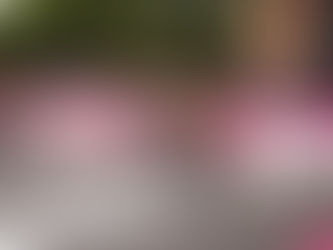 Los trenes de sprinters no pudieron con la fuga