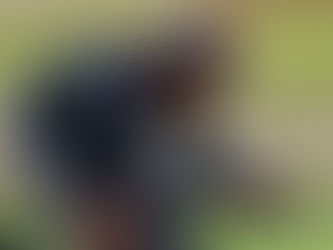 Fortaleza y disciplina en la victoria de Narváez