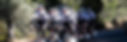sunweb.jpeg