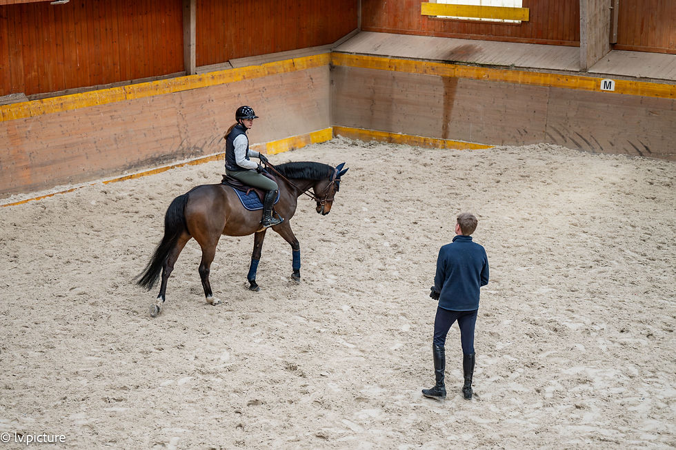 Coaching des cavaliers de saut d'obstacles