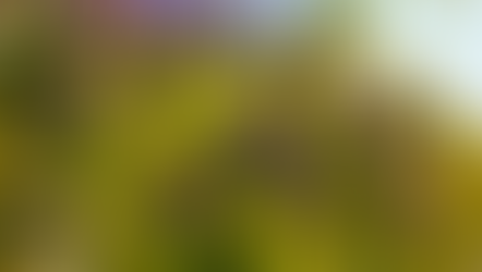 Blessing or Curse: How Everyday Choices Can Change Your World