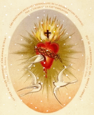 I love You, my JESUS....