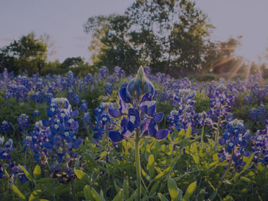 After the primary: how we move to November