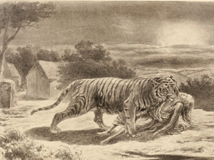 The Deadliest Man-Eaters In History. Part I: When Predators Learned That Humans Could Be Prey