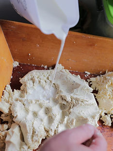 WhatsApp Image 2022-02-17 at 3.32.20 PM (1).jpeg