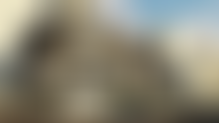 THE OFFICE OVERLOOK - REVIT / RHINO / GRASSHOPPER - SPRING 2022