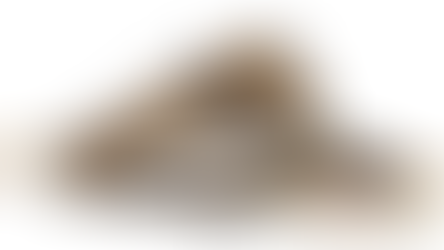 NEW CARNEGIE LIBRARY - REVIT - FALL 2022