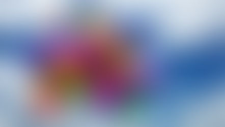 Early Retirement Review Part 1 - What I've Enjoyed