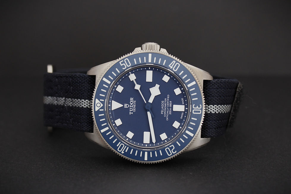 Thumbnail: Tudor Pelagos FXD