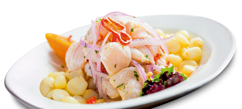 Ceviche IMG 2optC.png