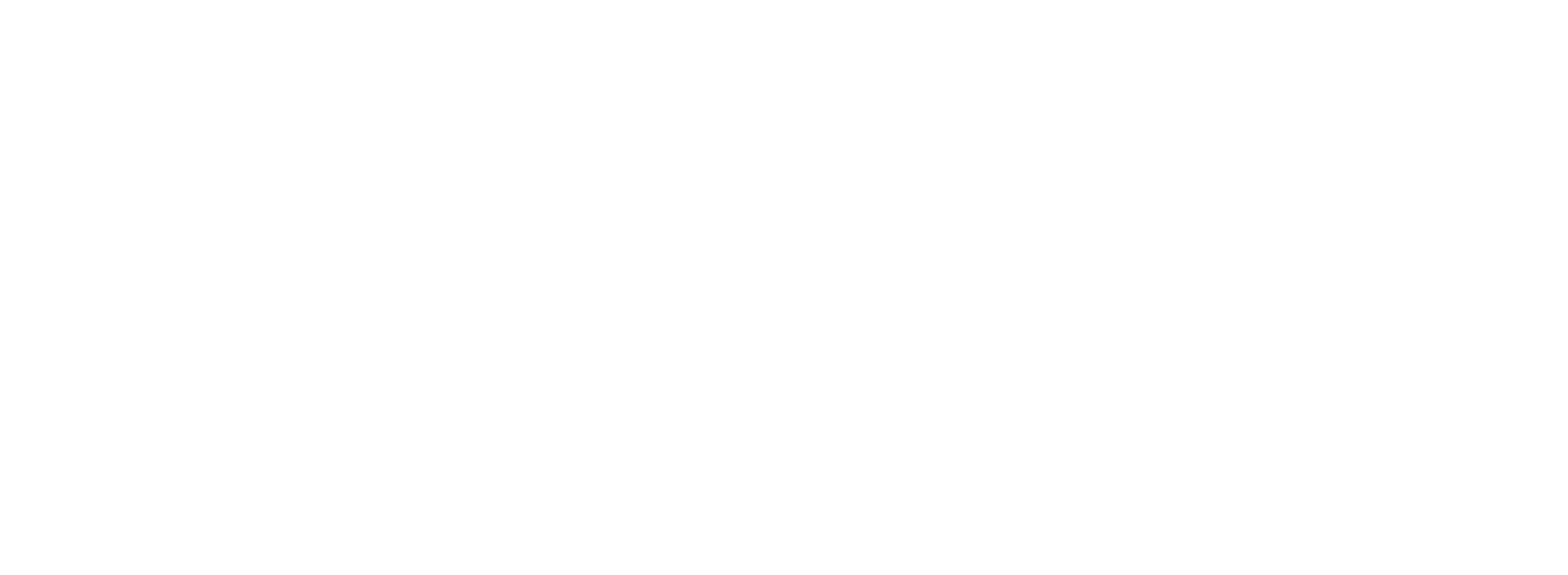 white-logo.png