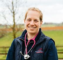 Claire Sawyer equine vet