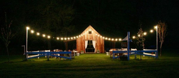 Thumbnail: Tungsten Coil Festoons