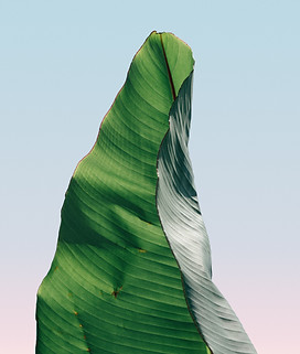 pierre-chatel-innocenti-muMR2IhCbZ0-unsp