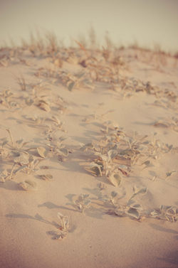 seascape 1