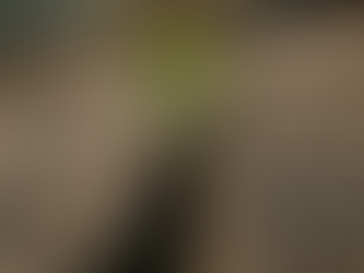 Usmíření protichůdných emocí a akceptování zranitelnosti jako znaky psychické zralosti: Přechod k tzv. depresivní pozici dle Melanie Kleinové