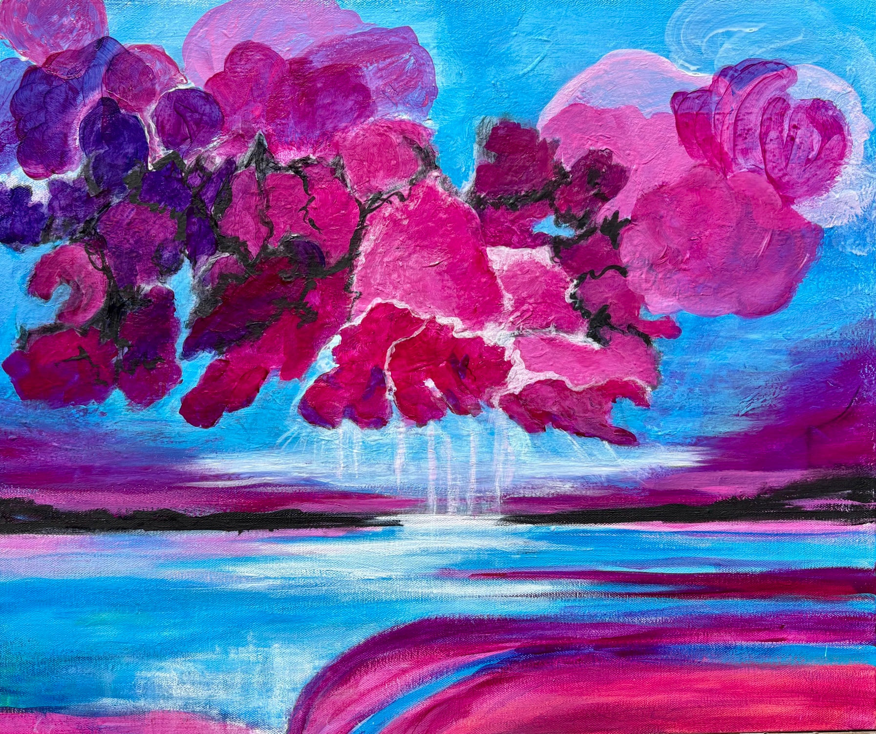 Sunset Ecstasy -Ladysmith 20”x24” Canvas