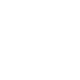 LEPA Logo (RGB)_Icon_White.png