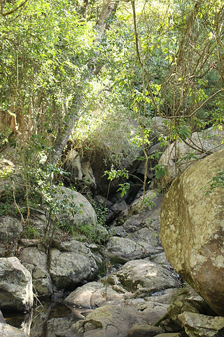 IMG_6633.jpg